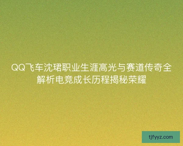 QQ飞车沈珺职业生涯高光与赛道传奇全解析电竞成长历程揭秘荣耀
