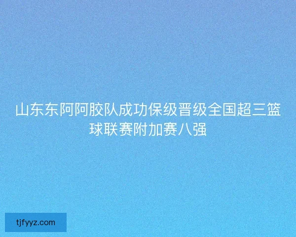 山东东阿阿胶队成功保级晋级全国超三篮球联赛附加赛八强